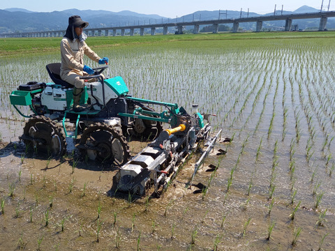 有機JAS認証　自然農法ササニシキ10㎏