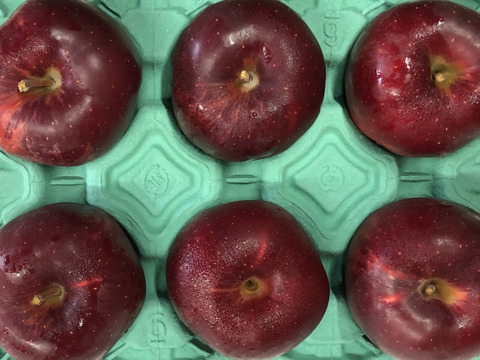 【残りわずか!!】希少品種「おいらせ」🍎家庭用約2.7Kg　今年も登場！！　青森県産　数量限定