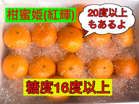 【冬ギフト】絶品！高級品種！　美味しさ間違いなし津之輝(S・M) 2.2kg