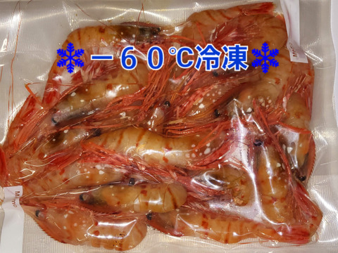 【-60冷凍】鮮度抜群！甘〜いボタンエビ中小混ざり3パック900g