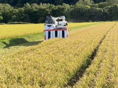 【令和3年度産】　北海道米　ゆめぴりか　農薬不使用　10kg （精米)