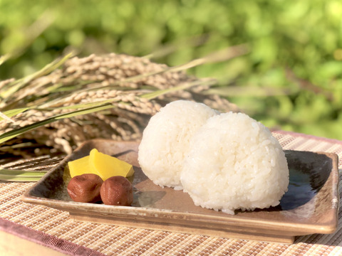 【新米】特別栽培 一等米✨あきたこまち 20㎏〔無洗米/上白米/分づき/玄米/選べます〕