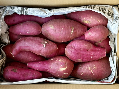 訳ありでもホックリサラリ！新品種「ゆきこまち」色々なサイズ入り  5キロ箱