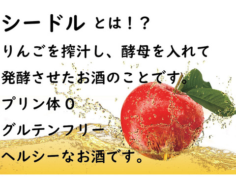 【日経ﾌﾟﾗｽﾜﾝ第1位】SDGs🍏摘果りんごを活用したｷﾚ味爽快なｼｰﾄﾞﾙ🥂テキカカシードル6本入🎁ギフト✨熨斗対応可