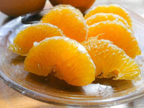 【長崎県産】甘夏4ｋｇ