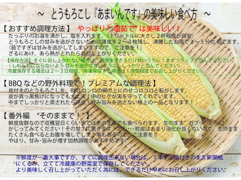 【朝どれ】フルーツとうもろこし『あまいんです』10本　希少な１番果のみを厳選出荷！