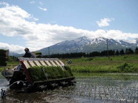 新潟県産　つきあかり  10キロ  玄米  令和4年産　米　(tukiakari-10kg-g)
