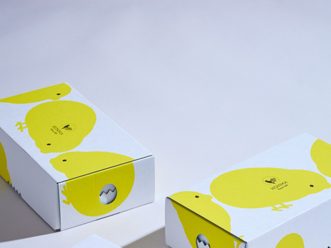 [ギフト] 無添加プリン2種6個セット