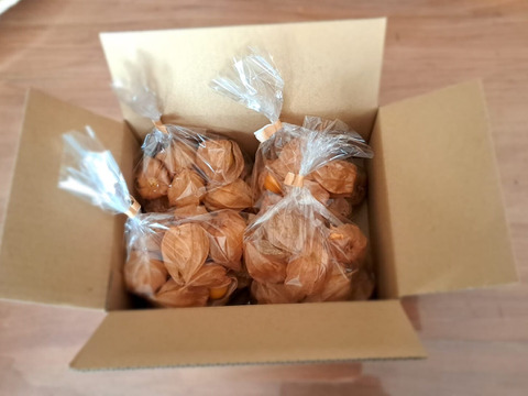 甘酸っぱくてまるでトロピカルフルーツ！「食用ほおずき」100g×8パック/栽培期間中農薬、化学肥料、除草剤不使用