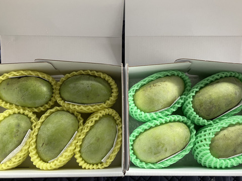 ⚠️追記あり要確認【常温便】森のカスタード！ポポー！1kg【３個から5個入】