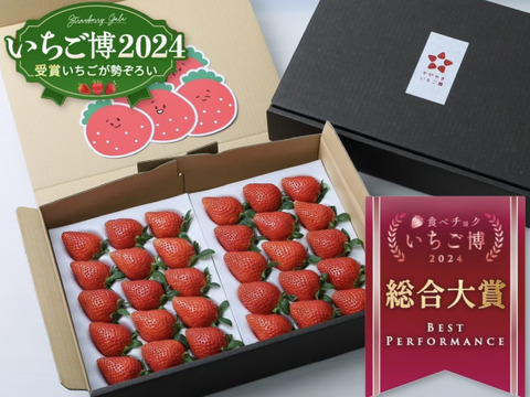 【いちご博2024総合大賞】新鮮完熟やよいひめ（約800g）