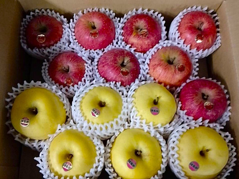 【岩手・紫波町】🍎🍏特別栽培「サンふじ」「はるか」の詰め合わせ（家庭用5kg・14玉）　これで最後です！