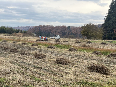 大豆（里のほほえみ）２kg農薬不使用•無施肥