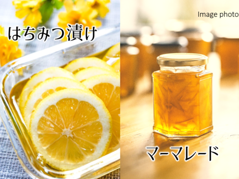 スイーツ作りに！【防腐剤・ワックス不使用】西浦れもん 大玉 2.7kg 仲屋 海瀬農園