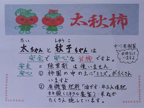 ＃チャンス５％引き　『輝太郎柿』４Ｌ・８個 ・２.４kg以上 白箱入り