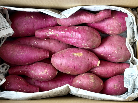 訳ありでもホックリサラリ！新品種「ゆきこまち」色々なサイズ入り  5キロ箱