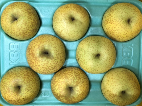【白梨】3kg（7〜8玉）【家庭用】シャリ感とさわやかな甘さが特徴の梨です！