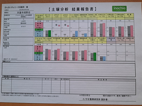 さくらんぼ『佐藤錦 』甘いよ！ピュアでかわいい！Ｌサイズ･バラ詰め 1kg