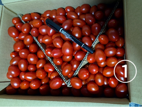 『みんなで分けられる』フルーツミニトマト（３kg）シェアに最適！