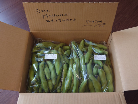 3.6kg【本日発送可能！うれしい増量中！】朝採れ確約！ホクッと甘くておいしい旬の味♪そら豆（約3.6kg）
