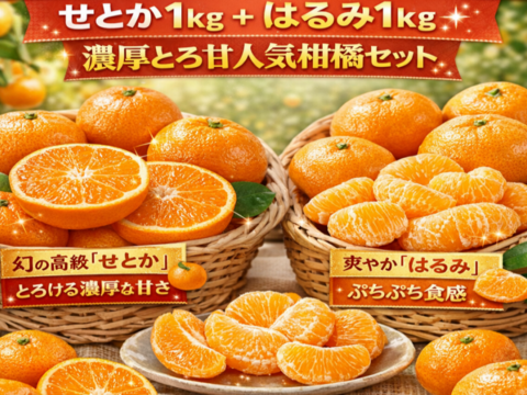 【希少高級柑橘の食べ比べ🎁】せとか1kg＋はるみ1kg🍊濃厚とろ甘人気柑橘セット