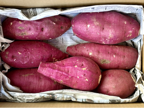 【訳あり】どすこいサイズ「ゆきこまち」  5キロ箱