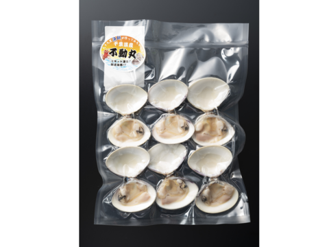 おつまみにどーぞ(^^)
開いちゃいました♪九十九里産酒蒸し蛤(冷凍)
《千葉ブランド水産物認定品》
九十九里産蛤300g/６～７個