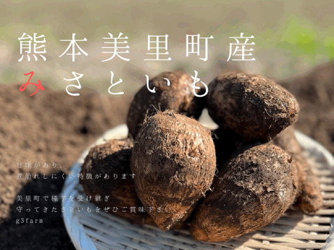 【ホッコリする甘味】農薬不使用！　熊本県産　みさといも　里芋（１０ｋｇ）