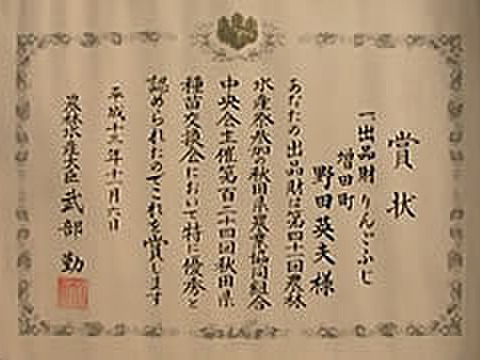 今目覚めた　シナノスイート5キロ　14～18玉　秋田県からすぐに食卓へ