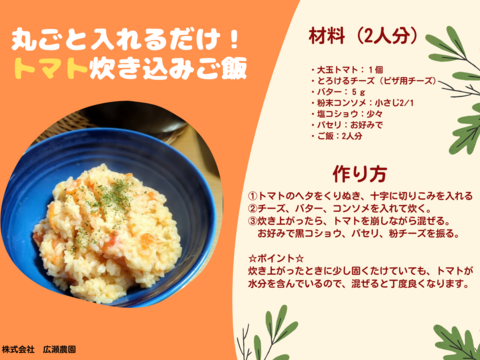 【規格外】トマト界のモンスター！！大玉トマト1.5kg