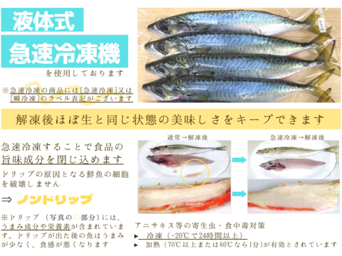 漁師直送 鮮魚３種セット 小サバ三枚おろし ウミタナゴ 急速冷凍 小イシモチ 千葉県産のその他魚 食べチョク 産地直送 産直 お取り寄せ通販 農家 漁師から旬の食材を直送