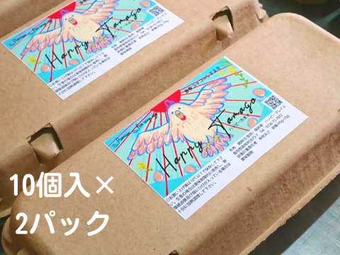 【北海道から】希少な放し飼いコッコの新鮮たまご　10個 × 2パック