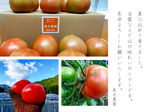 《飲食店様向き》温泉成分の地下水で栽培! 昔懐かしい味わいの 「鹿野高原トマト」(3kg・バラ)