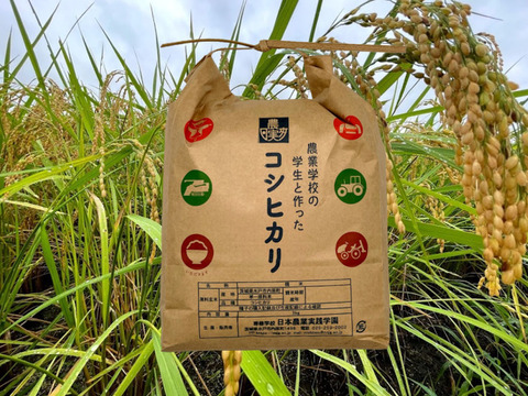 学生と作ったお米　日本農業実践学園のコシヒカリ白米3kg【令和5年産新米】【無洗米・分搗き対応可】