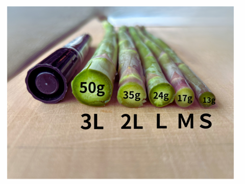 ＼ML中サイズ1kg／野菜ソムリエサミット『金賞』受賞　自噴水で育てたアスパラガス佐賀県伊万里産