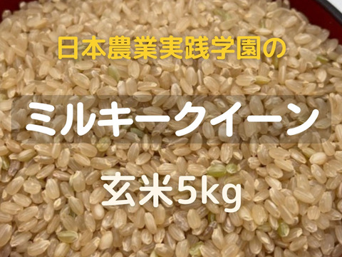 学生と作ったお米　日本農業実践学園のミルキークイーン【玄米5kg】令和4年産