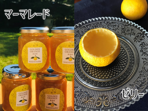 4/5より順次発送【加工用】黄金柑 3kg ゴールデンオレンジ 黄蜜柑 「もったいない」にご賛同ください 仲屋 海瀬農園