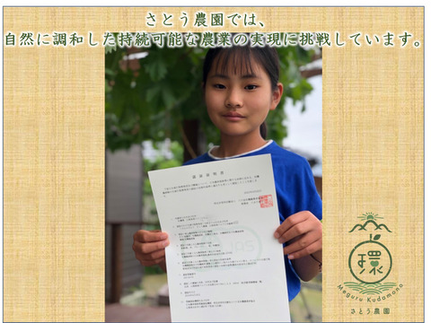 【有機栽培の美味しい浅間白桃約2kg】自然に優しく希少でジューシーな天然桃(6～7個入)！