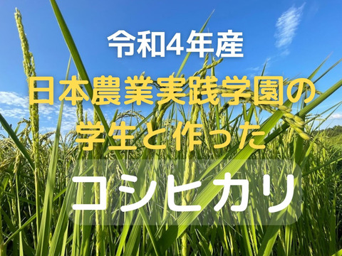 【令和4年産】【新米】日本農業実践学園の学生と作った太陽の恵み　コシヒカリ白米（3kg）【分搗き対応可】