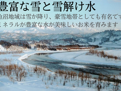 【🌾新米】令和6年魚沼産コシヒカリ 精米　農家のお米 10kg