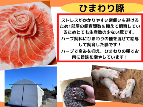 【冷蔵便！】ひまわり豚の3種セット！(総量1.5kg)