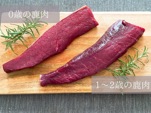 【外もも肉2枚】100%北海道産熟成エゾ鹿肉