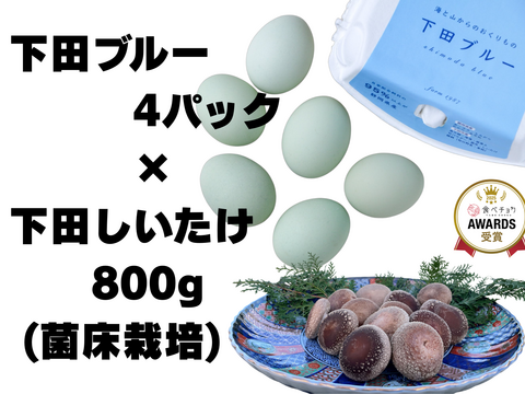 【母の日ギフト】 幸せの青い卵「下田ブルー」４パック、「下田しいたけ」800ｇセット