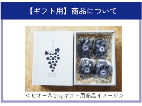 ギフトにおすすめ！岡山のぶどう『ピオーネ』約２ｋｇ