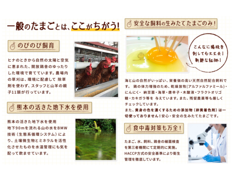 【ギフトにも♬】自社農場のたまごたっぷり♪ うみたてたまごの生命のマヨネーズ 250g×1本【熨斗対応可】