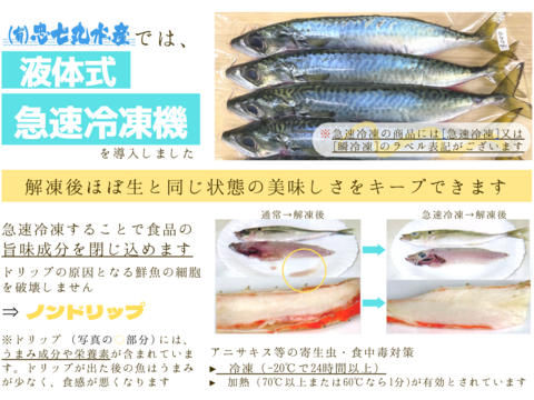 【訳あり・特別価格】鮮魚３種セット（スズキフィレ・イシモチ・小サバ）【急速冷凍・真空・下処理済】