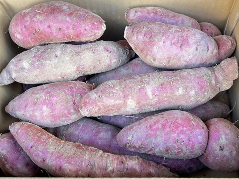 《3ヶ月熟成》ねっとり甘〜い紅はるか2L以上／15kg