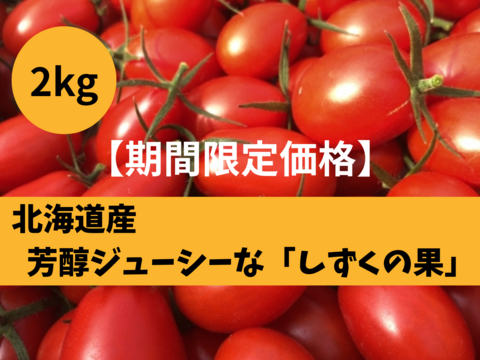 超濃厚！甘い、うまい、とまらない。完熟ミニトマト「しずくの果」・北海道産(2kg)