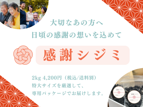 【母の日ギフト】【メッセージカード付き】宍道湖産ヤマトシジミ”感謝シジミ”（特大サイズ・冷凍2kg）熨斗対応可