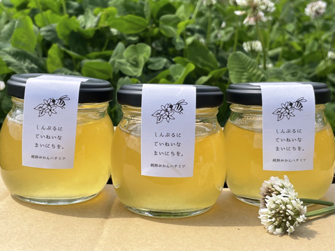 有機jas認証圃場で養蜂 農薬を使っていない安心安全な みかん農家だけが楽しんでいる特別な純粋みかんハチミツ 100g 3本 大崎上島から 旨い をお届け 広島県産 食べチョク 農家 漁師の産直ネット通販 旬の食材を生産者直送
